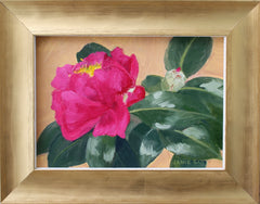 Camellia Sasanqua