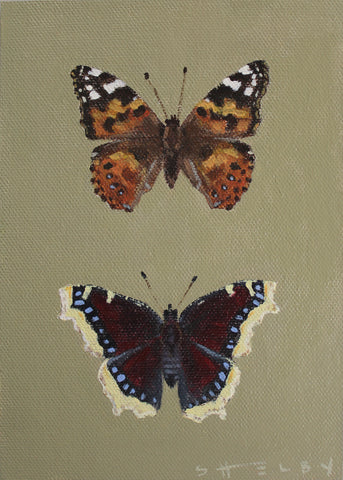 Painted Lady & Mourning Cloak