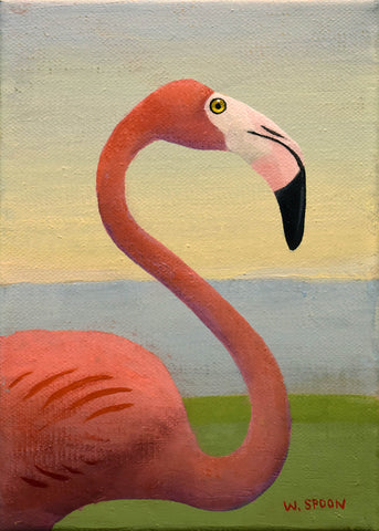 Flamingo