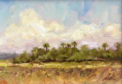 Palmetto Skyline- Tammy Medlin