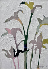 Lavender Gladiolus