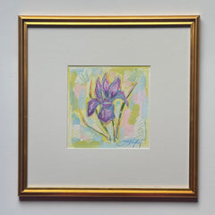 February Iris
