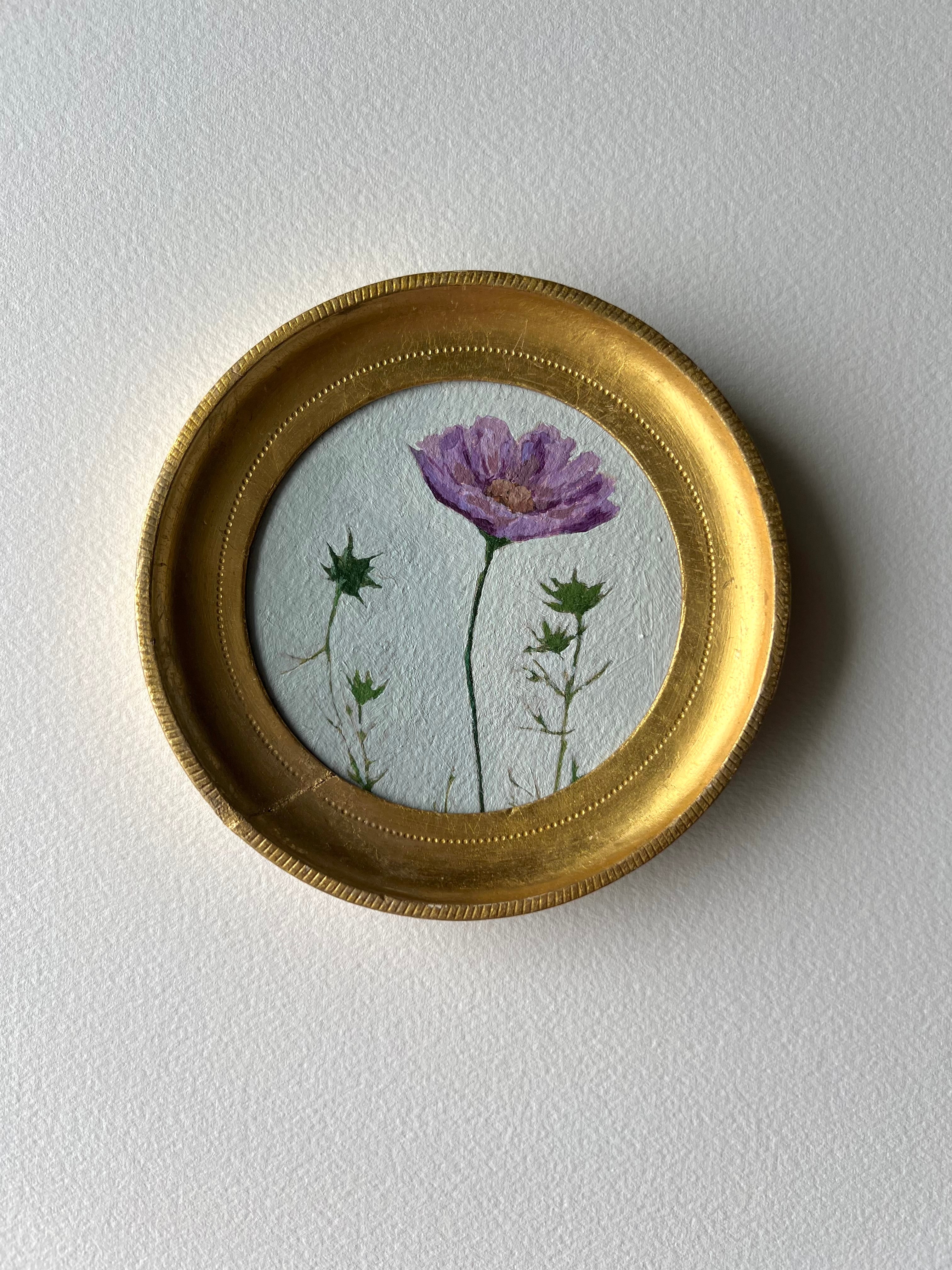 Cosmos Study ii