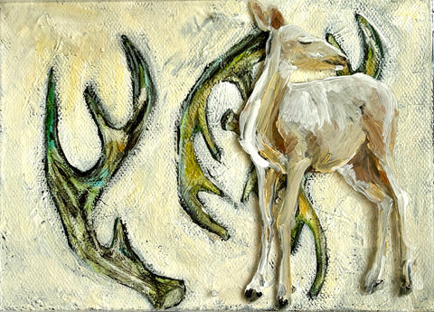 Antlers Shed