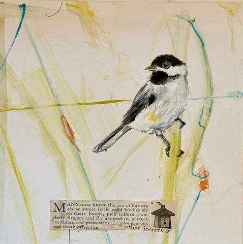 Chickadee