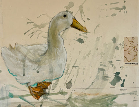 Duck