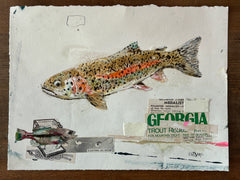 Mountain Trout