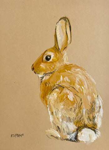 Rabbit