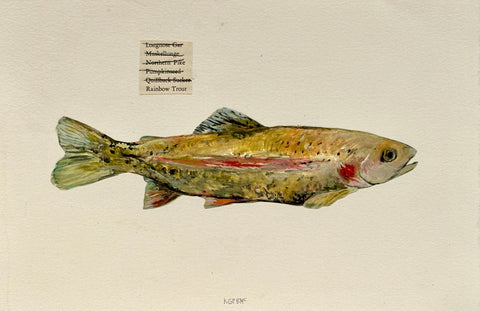 Rainbow Trout