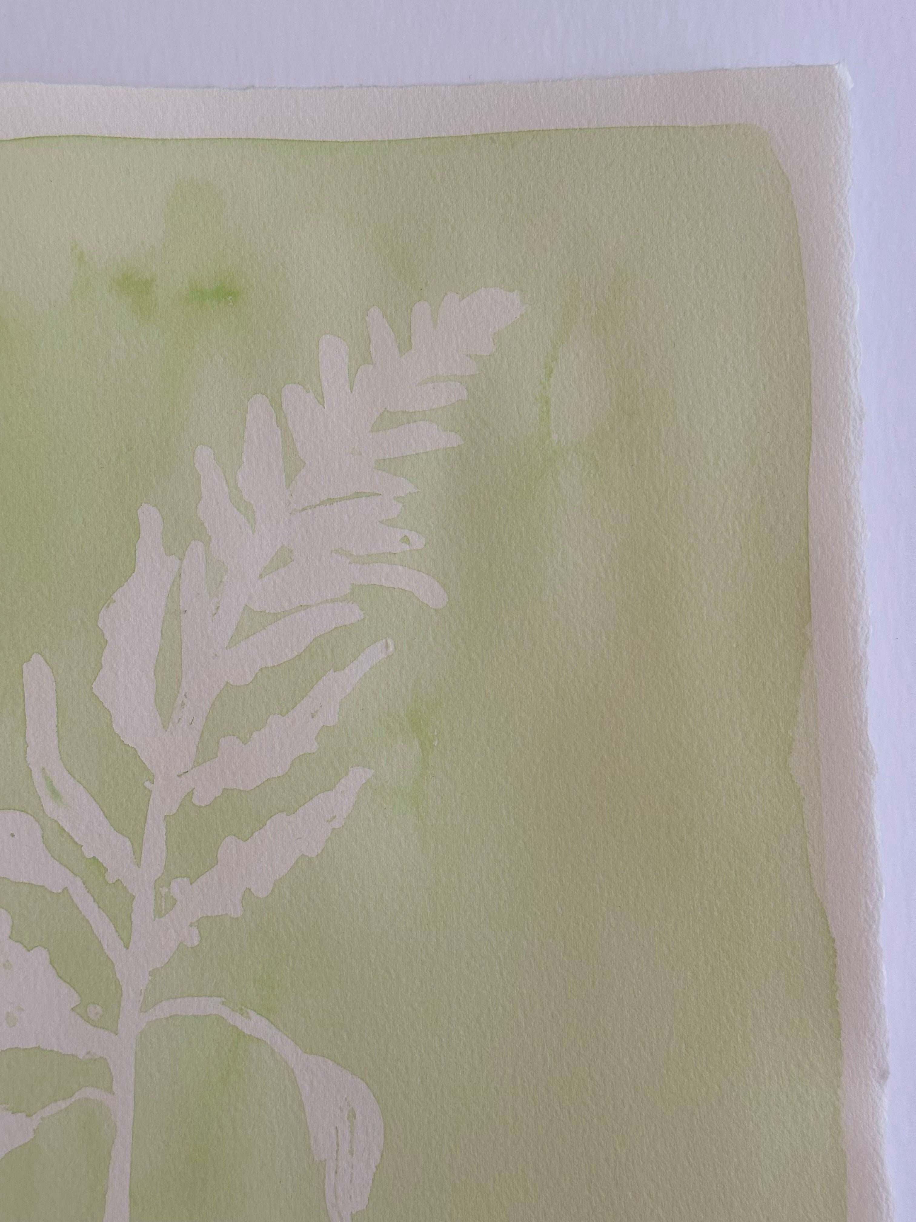 Green Fern