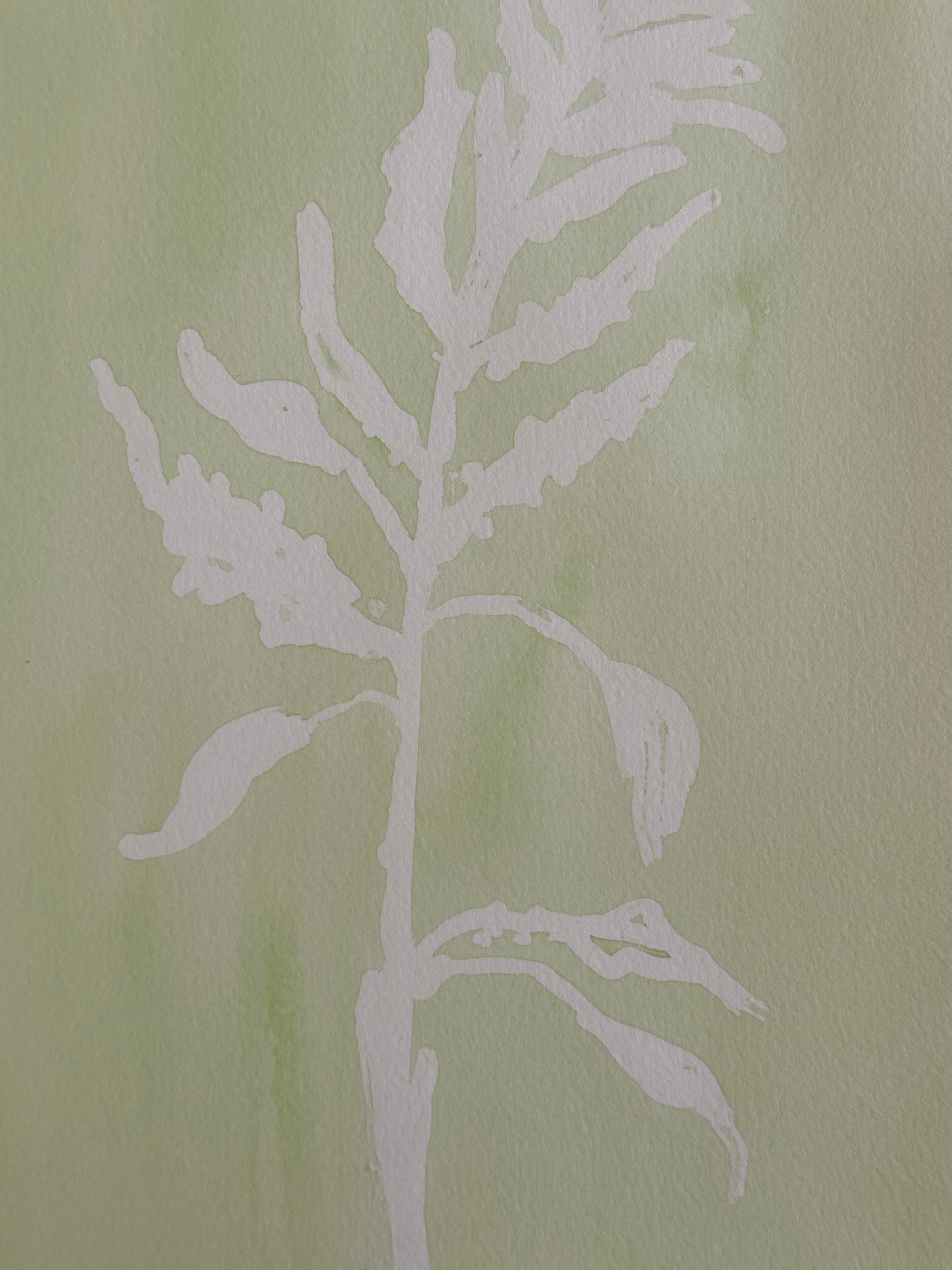 Green Fern
