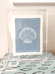 Petite Shell on Dust Blue No. 3