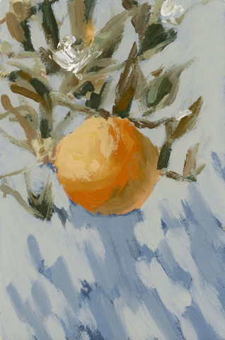 Citrus Mini No. 9 print