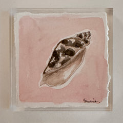 Original Seashell 9