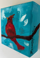 Cardinal Sighting