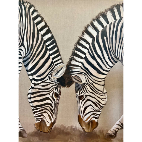 Two Zebras