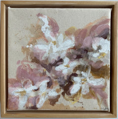 Daisies in Blush