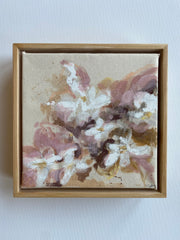 Daisies in Blush