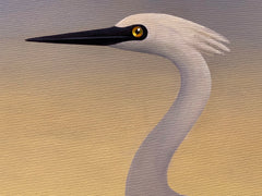 Egret at Dusk