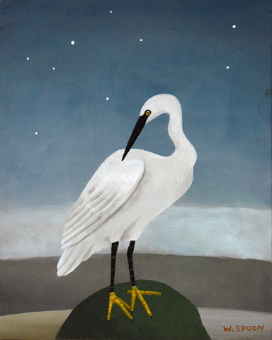 Egret at Night