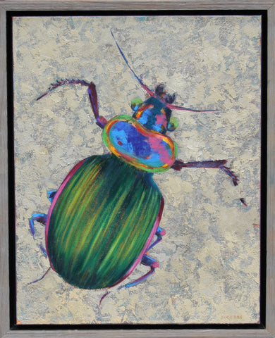 Beach Beetle