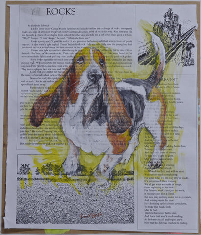 Basset Hound