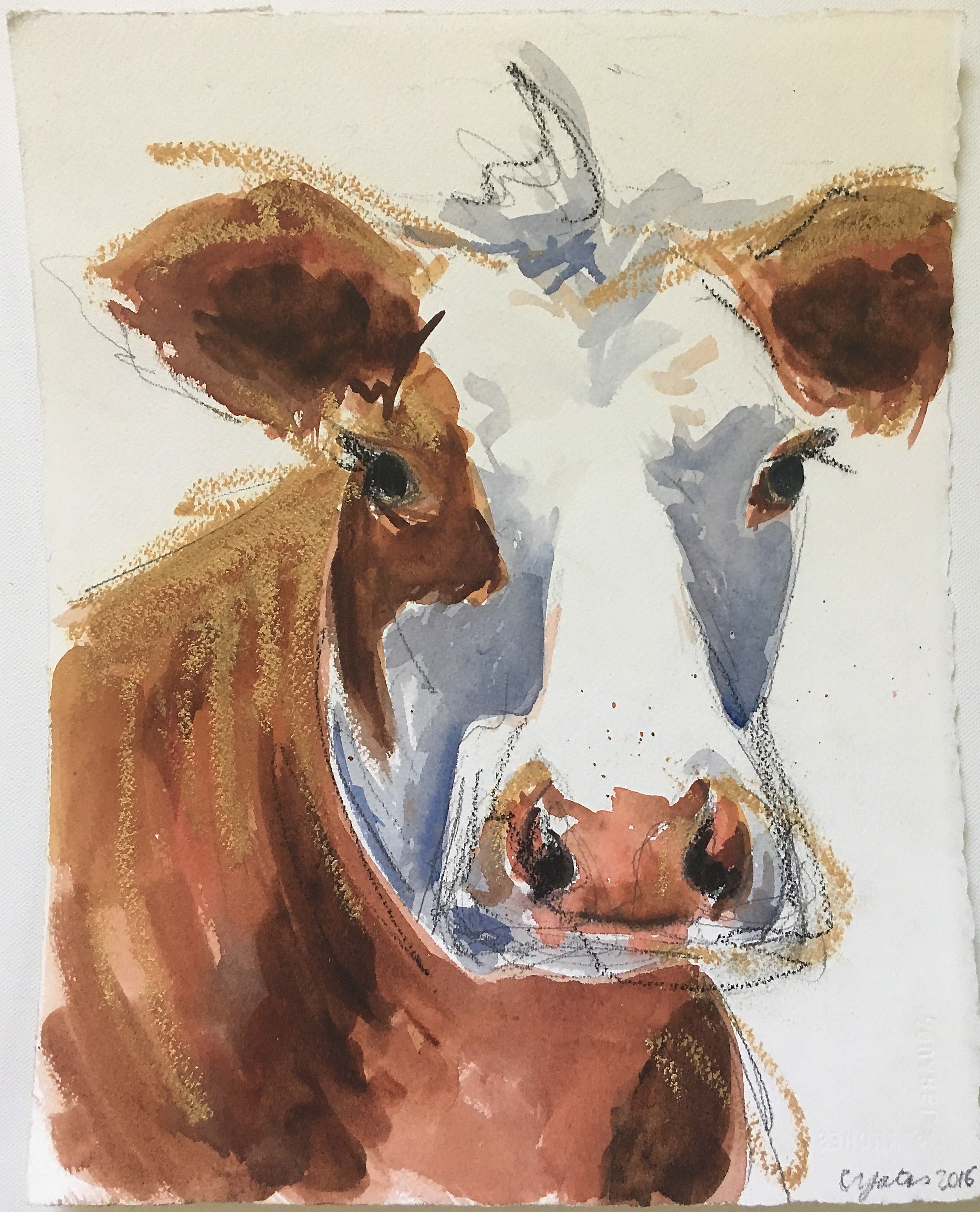 Cow Study With Gold