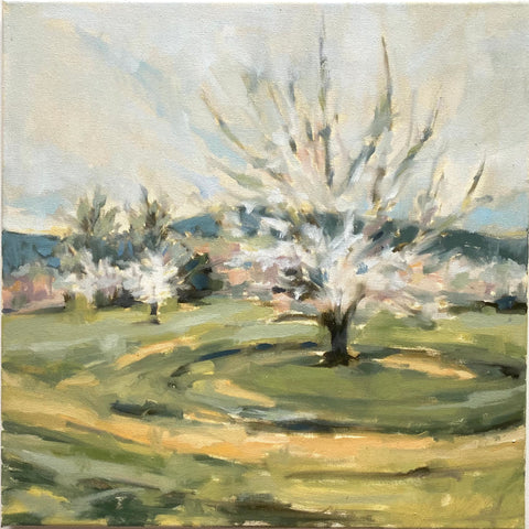 Orchard in Spring I