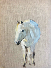 Horse Study