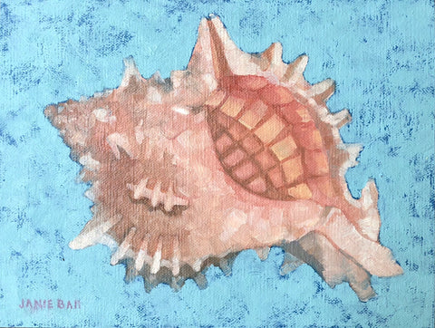 Pink Mouthed Murex