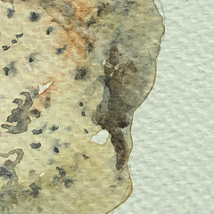 Shell with Holes (Back)
