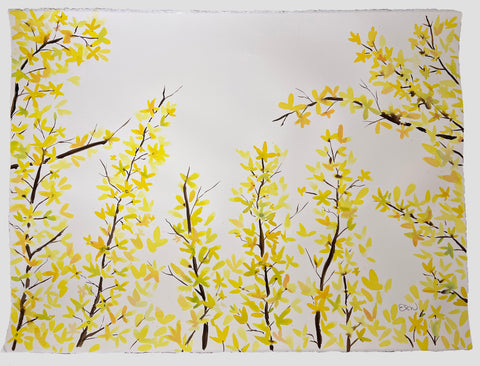 Forsythia