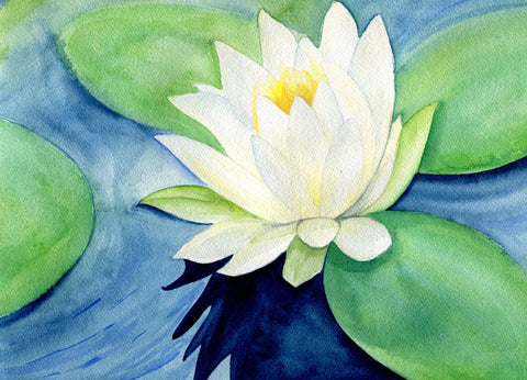 Lotus