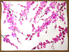 Redbuds