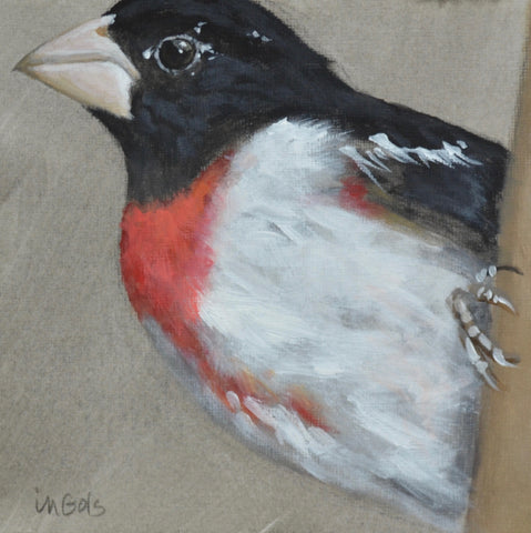 Grosbeak 2