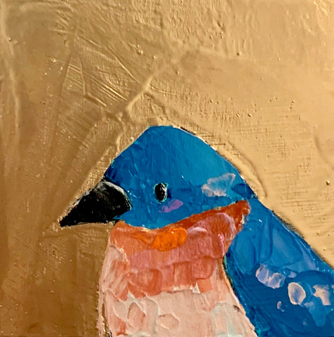Eastern Bluebird