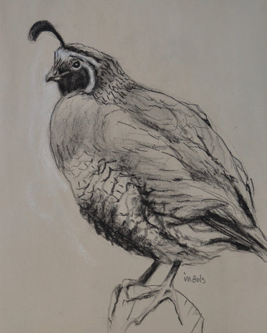 Charcoal Study Quail 2