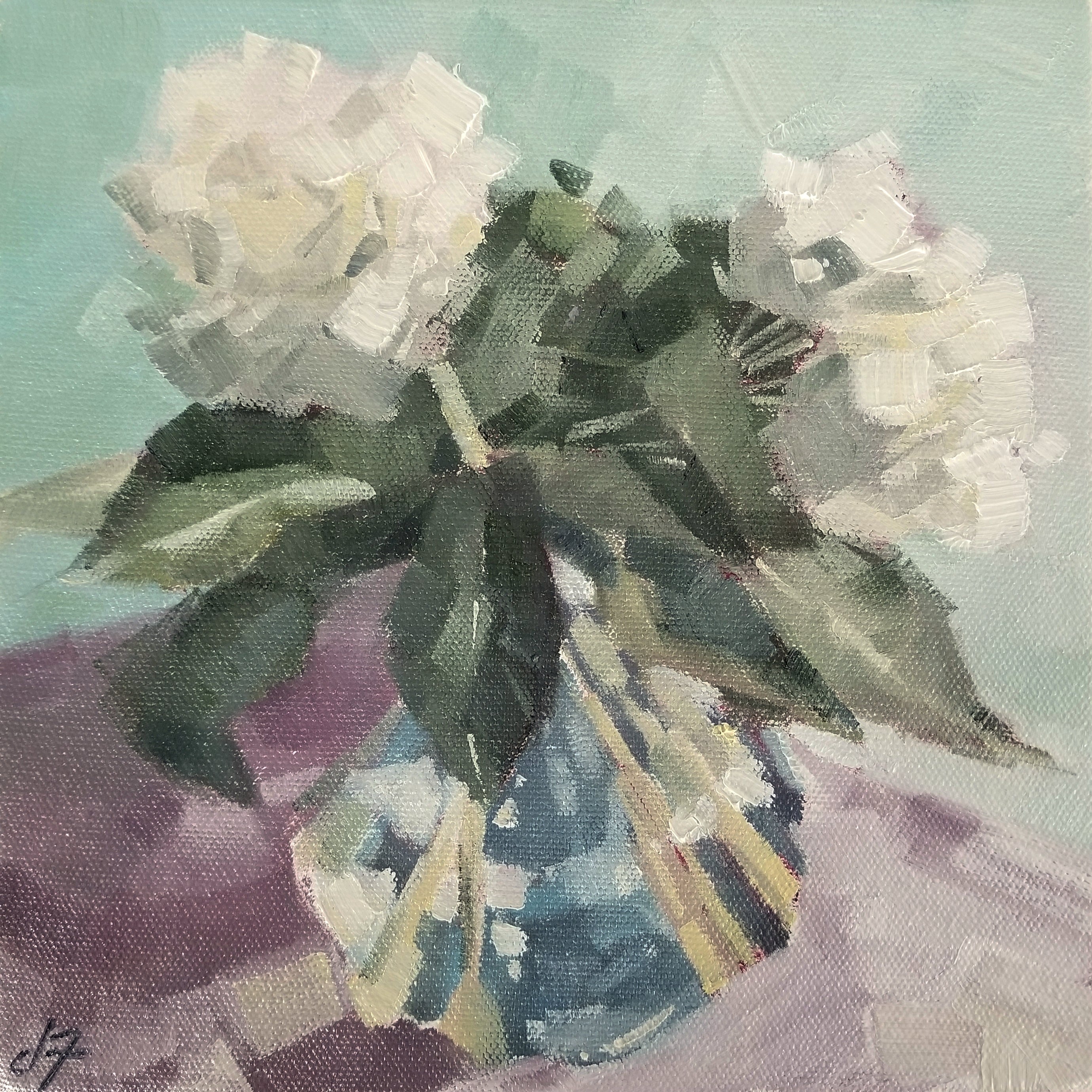 White Hydrangeas
