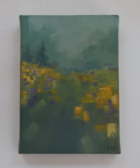 Foggy Meadow