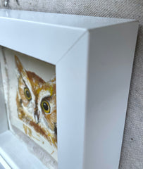 Owl Portrait