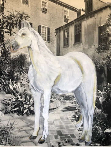 In the Courtyard
