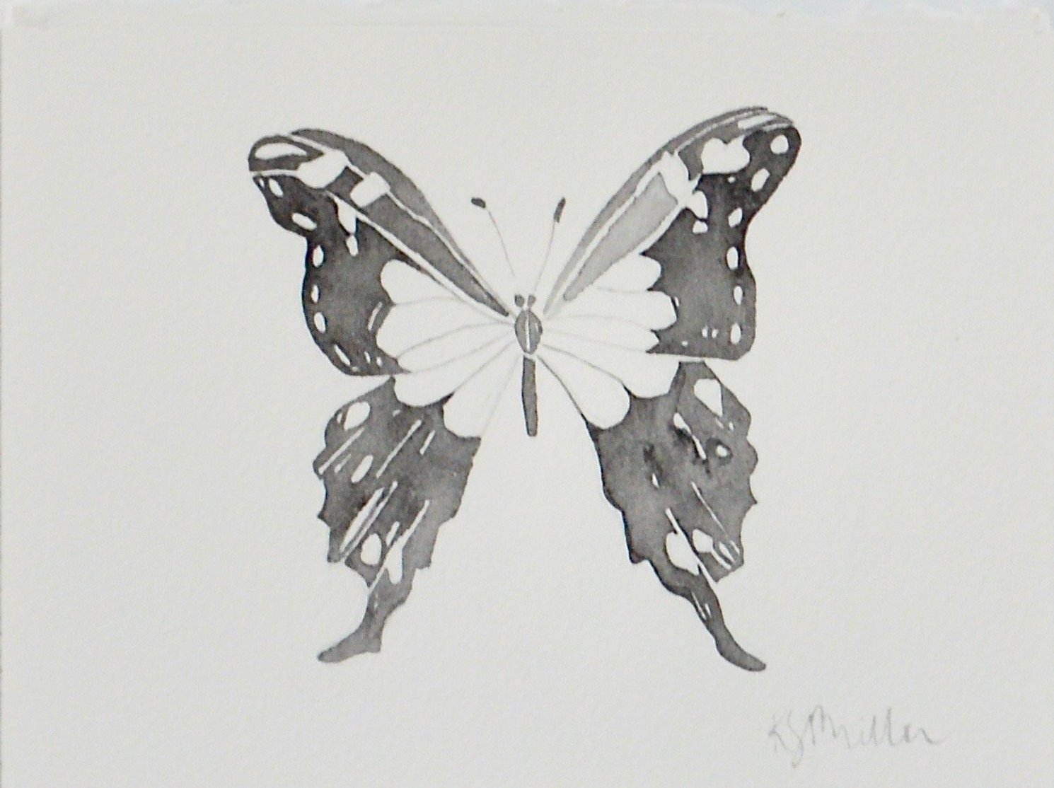 Butterfly Study 01