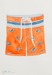 Little Boy Swim Suit