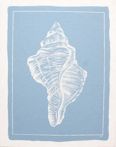 Conch Shell