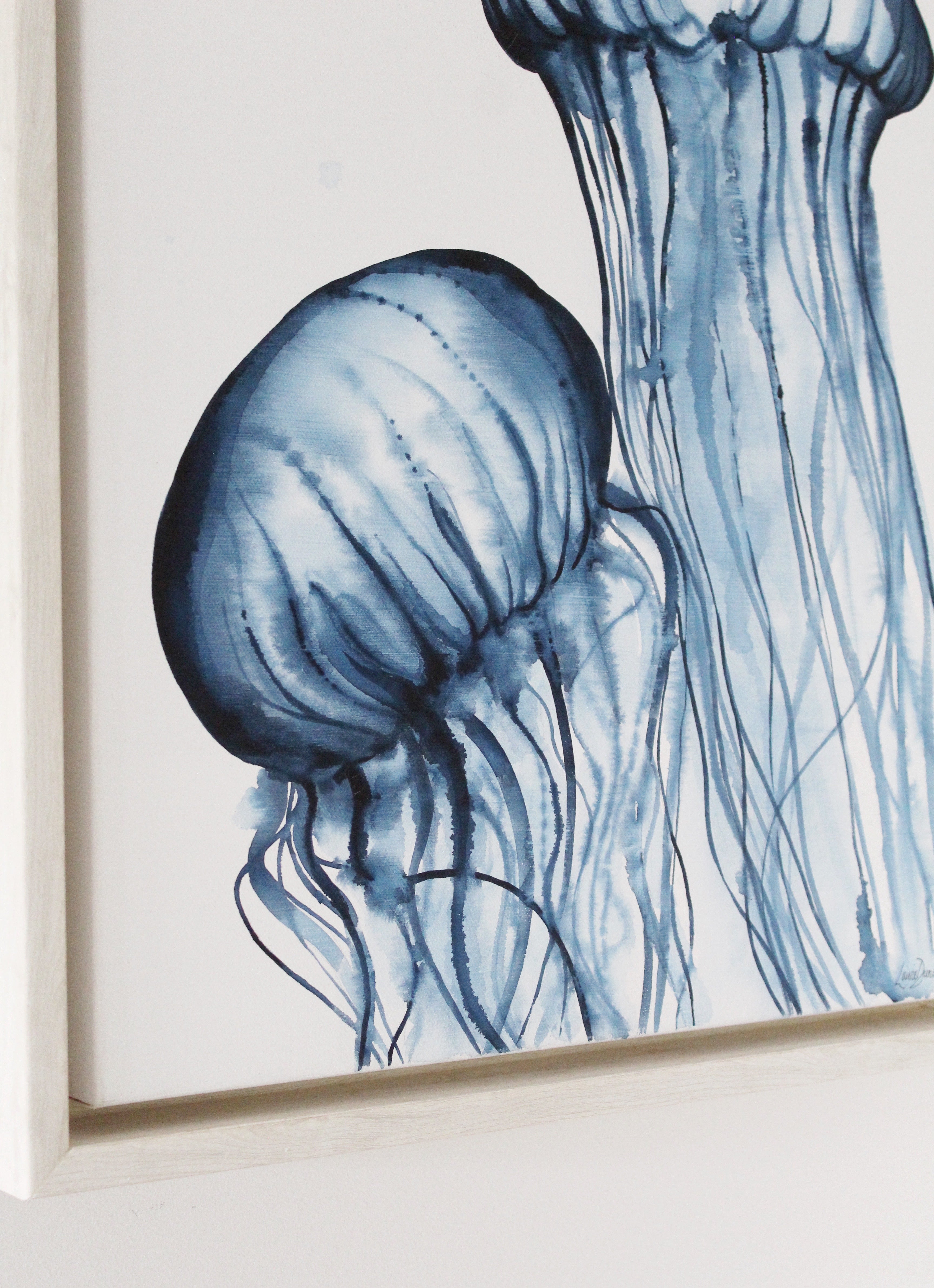 Dancing Jellyfish
