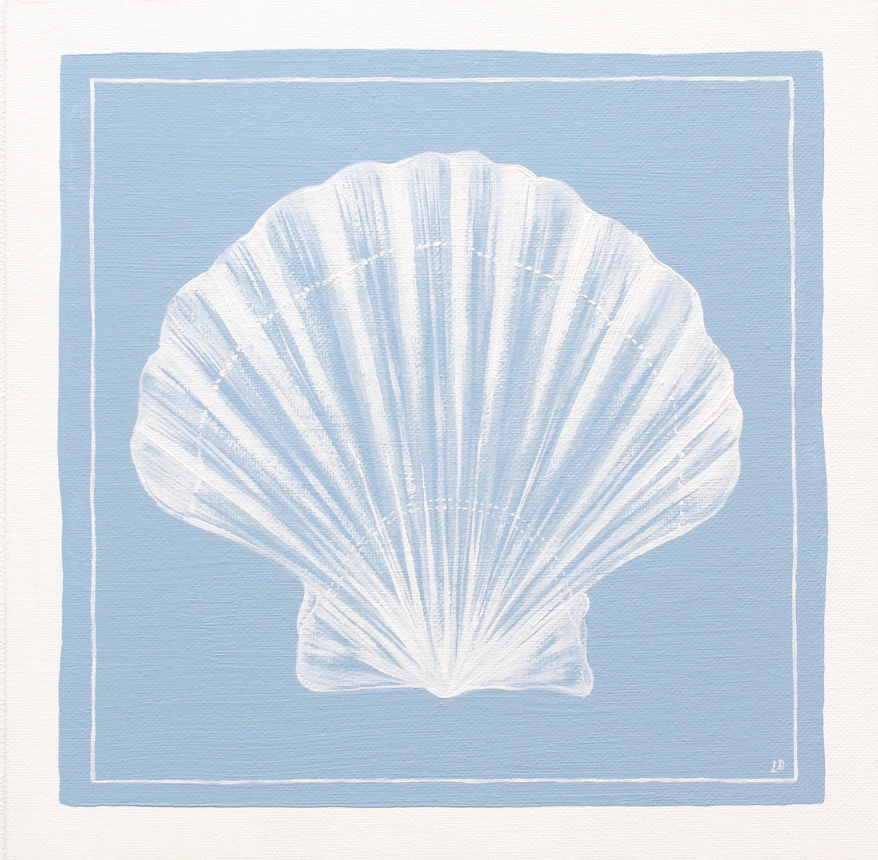 Scallop Shell
