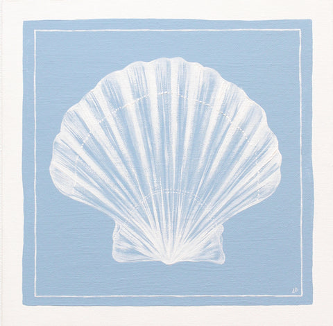 Scallop Shell