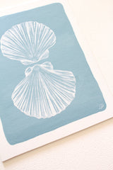 Shell Reflection