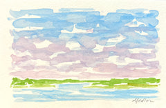 Lowcountry Marsh XIV