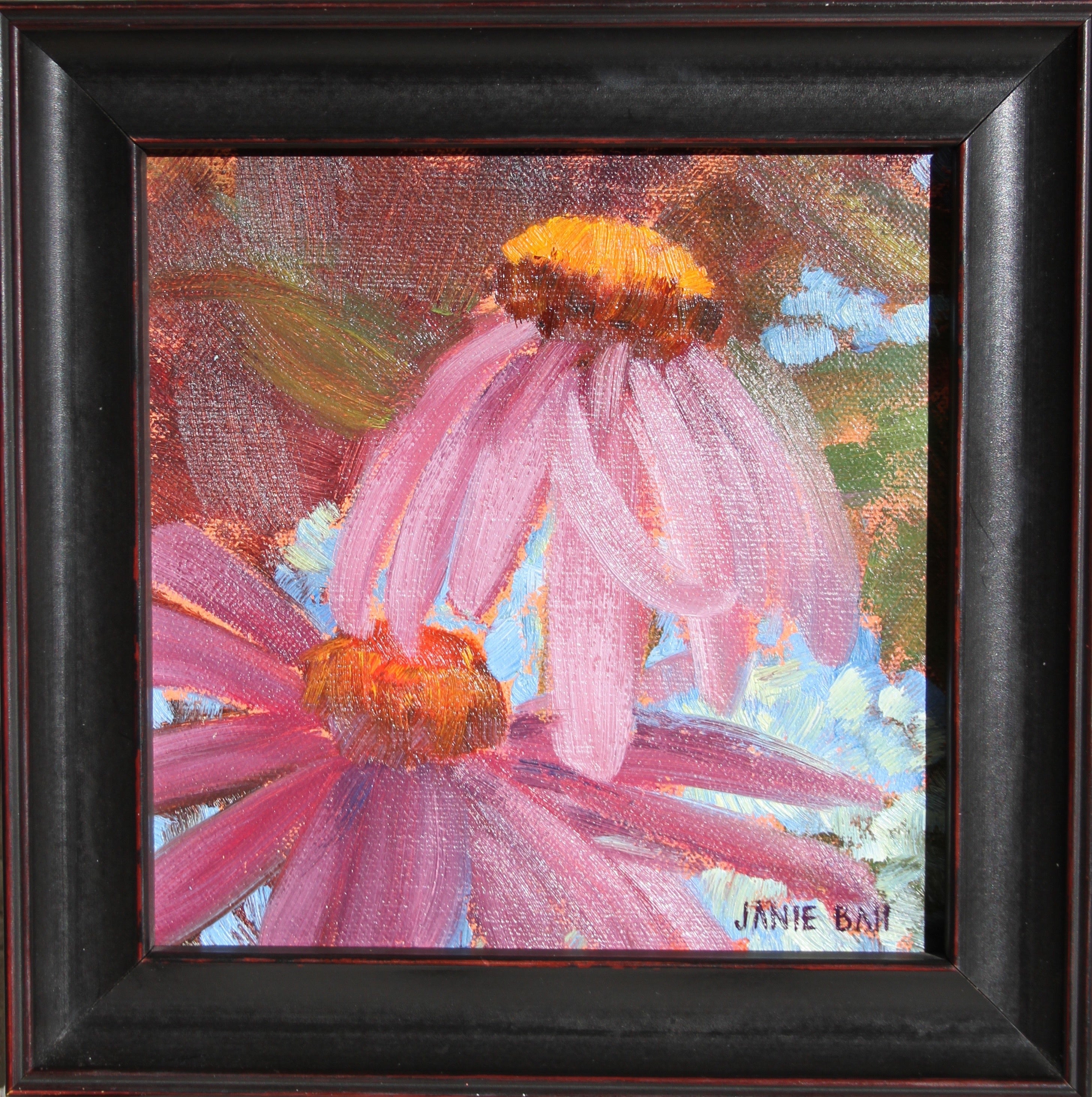 Purple Cone Flowers
